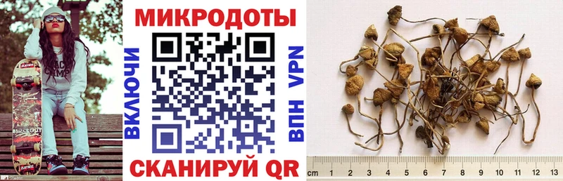 Псилоцибиновые грибы Psilocybe  Купить закладки  Старый Оскол 